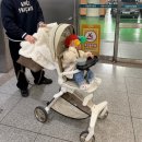 서울아산병원(신관) | 신생아 심장 잡음,1년 후 심장초음파 결과 서울아산병원 진료 후기