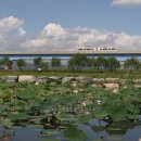 삼락강변공원 이미지