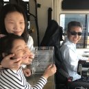 우도사랑협동조합 이미지