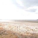 예향천리마실길 10코스 가시연꽃길 이미지