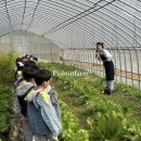 비손유치원 이미지