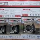 워시테리아 이미지