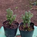 J(제이)농장 이미지