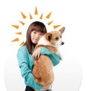 에버랜드 동물병원 이미지