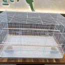 앵무새리프패럿 - 화성시 상신하길로328번길 26 | 앵무새리프패럿