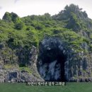 (주)테라픽스