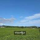 중산간 티스토리