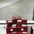 빅보이컴퍼니
