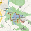 향기를보다