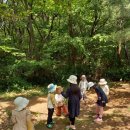 동일자연어린이집 이미지