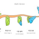 춘해보건대학교 이미지