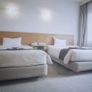 미미모텔 이미지