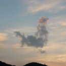 재민목장 이미지