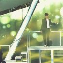 포커스영상