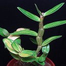 황호농장 이미지