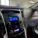 월드카모터스 이미지