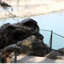 [북부] 가야금 이미지