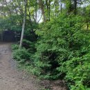 큰골샘터 이미지