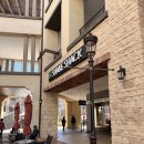 원모어패티 | 쉑쉑버거 시흥 아울렛점 후기 / 뉴욕 쉑쉑과 비교 / 쉐이크쉑 런치세트 가격 쉑마이스터버거 더블쉑버거...