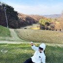 로얄포레CC | [GOLF] 충주 로얄포레CC 겨울 라운드 솔직 후기(음식, 날씨, 코스 포함)