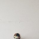 성북-종암-1318 이미지