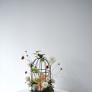 린플라워 이미지