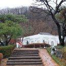 이다의숲 이미지