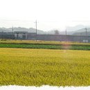 신라불교초전지마을 네이버블로그
