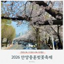 충훈2교 | 2026 안양충훈벚꽃축제 총정리｜벚꽃개화시기 주차 야경 즐길거리까지 안양 벚꽃 나들이