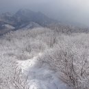 출발확정 28인승 리무진 [울산안내산악회] 1월29일(수요일밤)~30일(목) 설악산 대청봉 눈꽃산행 무박 특별산행 이미지