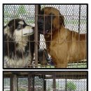 허숙희네 이미지