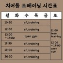 치어풀트레이닝 네이버블로그