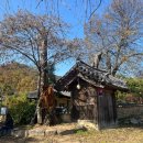 주천1리 이미지