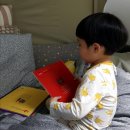 꿈땅도서관 | 꿈땅 17초 동화 리뷰