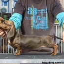 쿠어츠바인에 이미지