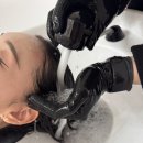 더스타일뷰티 이미지