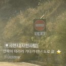 BBQ사천시청점 이미지