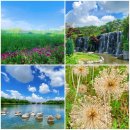 O.K마트 | 알산호수공원 한 바퀴