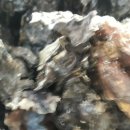 첫골농장 이미지