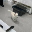 무브멍트 이미지