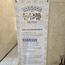 소사2지구 | 부천 소사구 /서울근교 애견카페 똑독 방문 후기