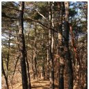 비룡산-사림봉(詩碑<맨발산행208>10:30-장안사10:53-봉수대11:00-圓山城11:16-남문址11:18-三江앞봉...