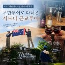 바닷가언덕집 | 포트스테판 해안사구 샌드보딩, 와이너리 후기! 무한투어로 다녀온 시드니 근교투어