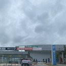30회 궁디팡팡 캣페스타 일산 킨텍스 구석구석 자세한 후기
