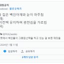 김밥마트 이미지