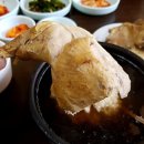 대현옻닭식당 Daum카페