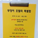 부엉이모텔 이미지