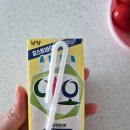 남양음료 | 달지 않아 더 좋았던 남양 이오 유산균음료 후기
