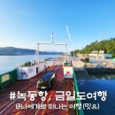 동원여객자동차(주) | 가보고 싶은 섬 금일도, 녹동항 여객터미널 배편 여행 후기