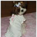 공주동물병원 이미지